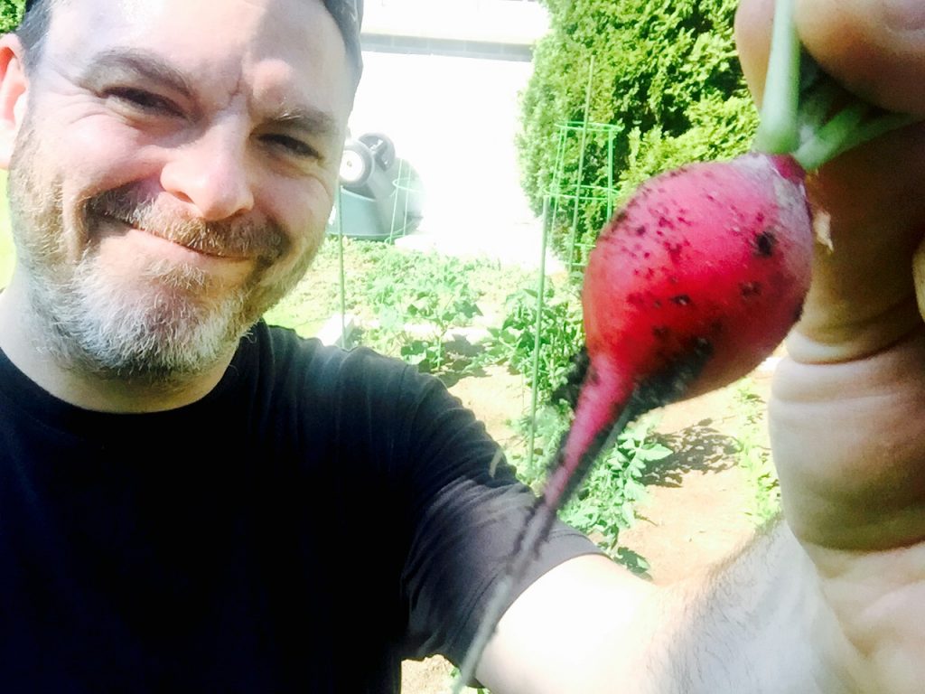 The first produce out of our garden, one of our home grown radishes