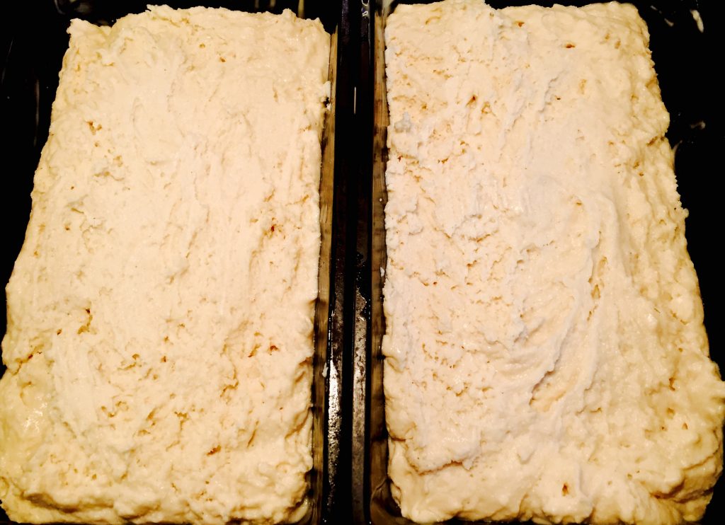 Two loaves of our homemade bread rising perfectly and ready for the oven