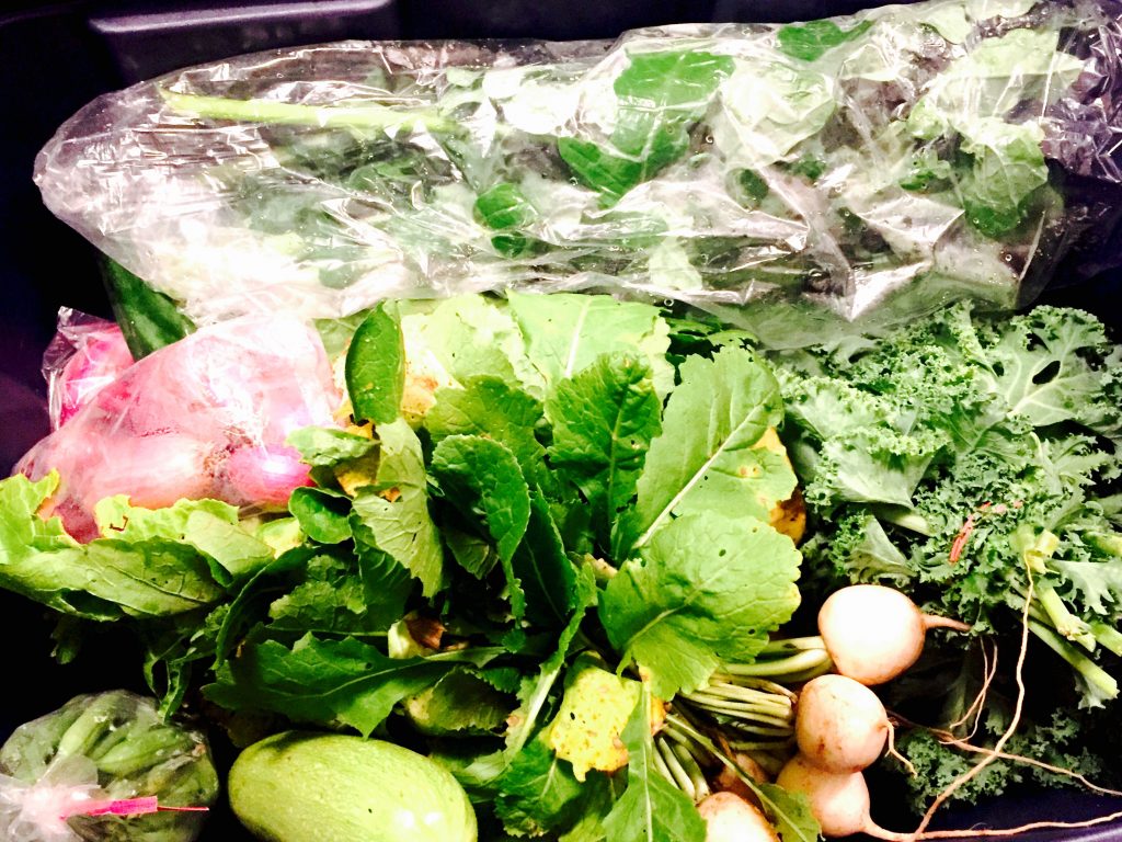 An entire bin full of delicious ingredients from one of our local community gardens!