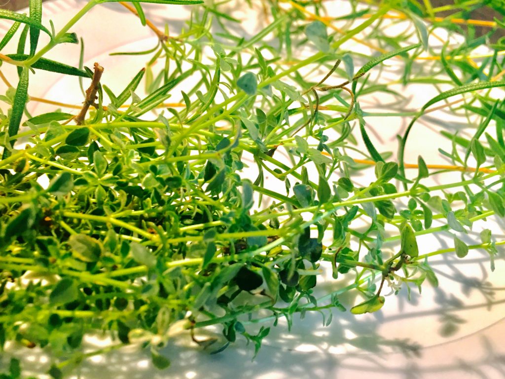 Both of these recipes were wonderfully enhanced by flavours we grew in our own garden, namely these lovely fresh sprigs of thyme and rosemary.