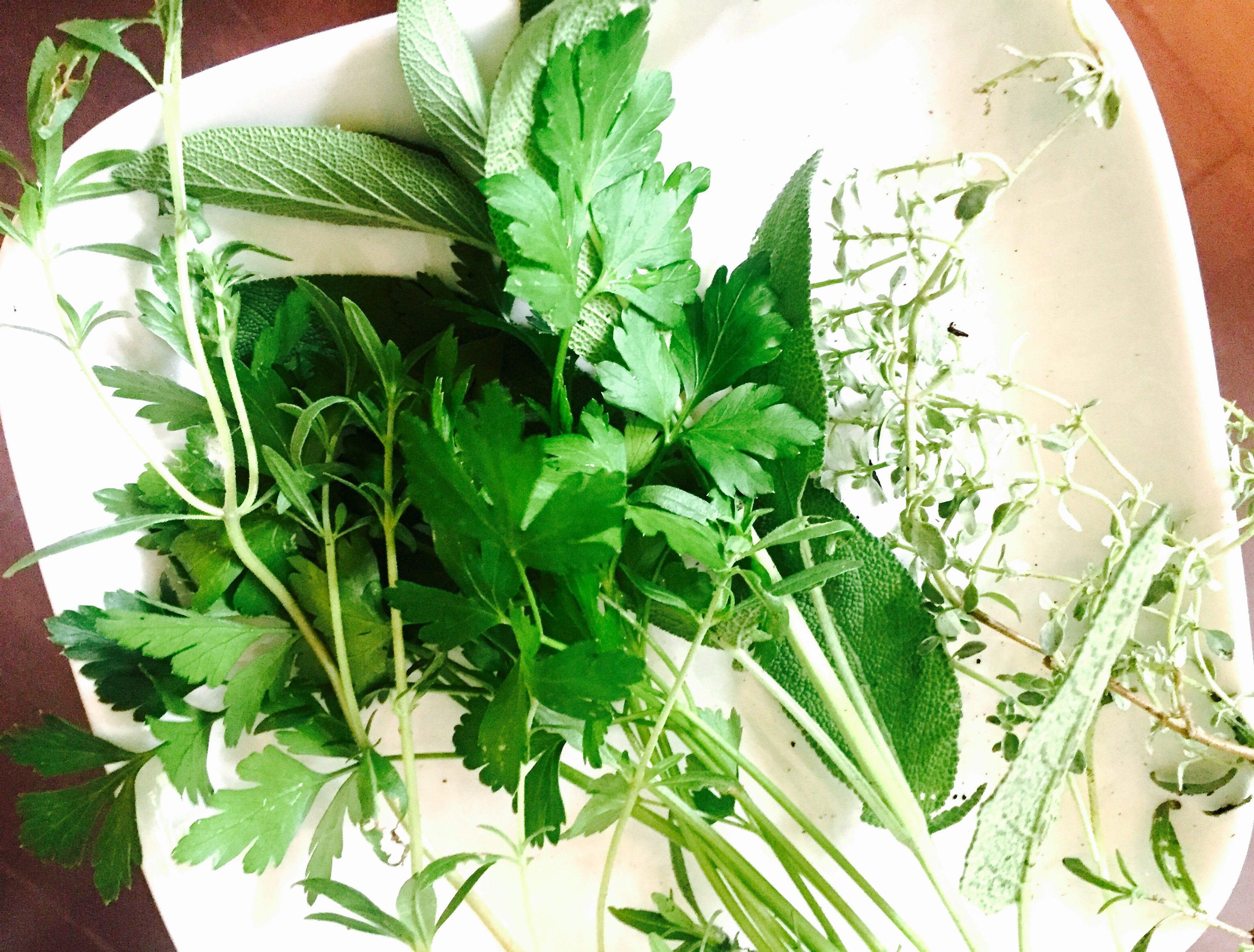 Fresh herbs picked from our garden