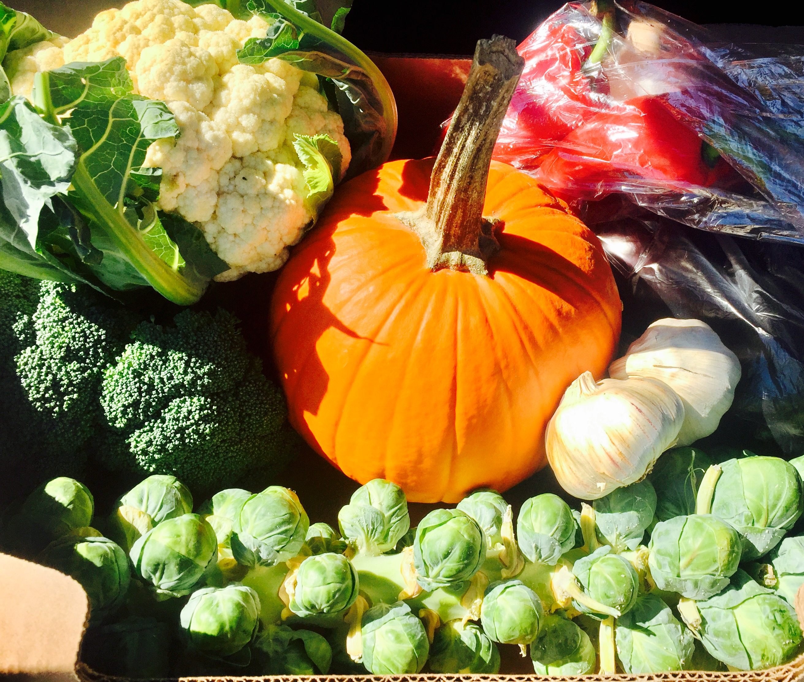 Fresh produce from our local farmer's market, testing dishes for our Thanksgiving menu